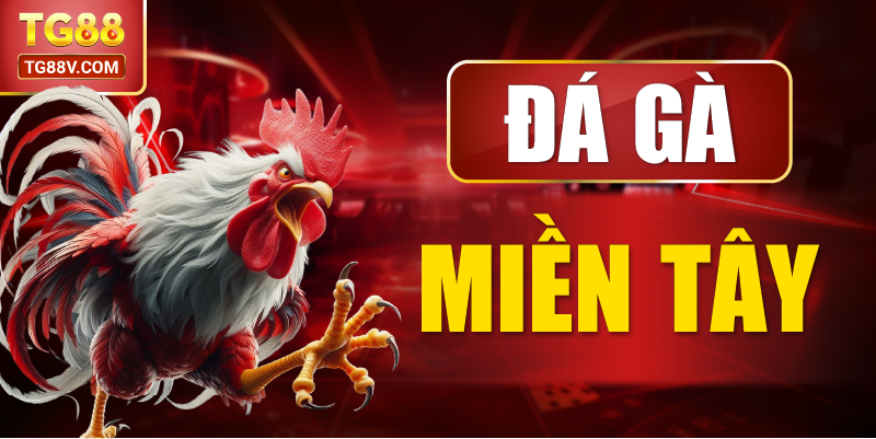 Đá gà miền tây