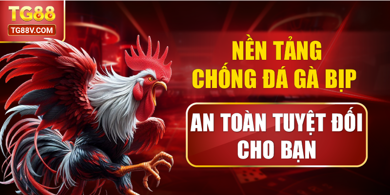 Nền Tảng Chống Đá Gà Bịp An Toàn Tuyệt Đối Cho Bạn